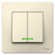Blanca Молочный С/У Выключатель 2-клавишный с подсветкой, 6А, 250В  BLNVS006512  SE