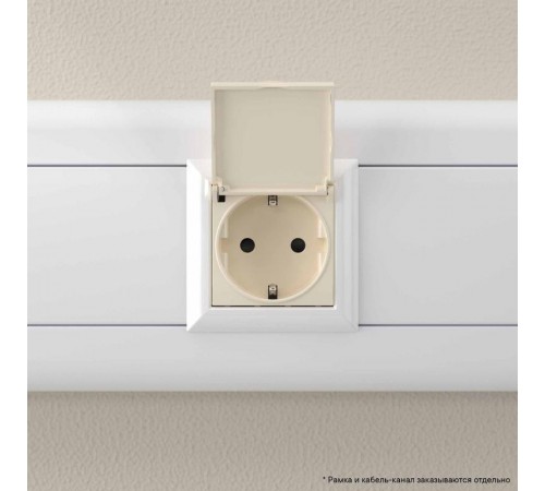 Розетка с крышкой "Ванильная дымка", 2P+E, с з/ш, "Avanti", 2мод.  4405012  DKC