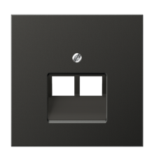 Крышка для двойных телефонных и компьютерных розеток (UAE), фиксация винтом; металл; антрацит; Aluminium  AL2969-2UAAN  Jung