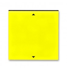 Управляющий элемент Busch-Jalousiecontrol®II ABB Levit с маркировкой жёлтый / дымчатый чёрный  2CHH700110A4064  ABB