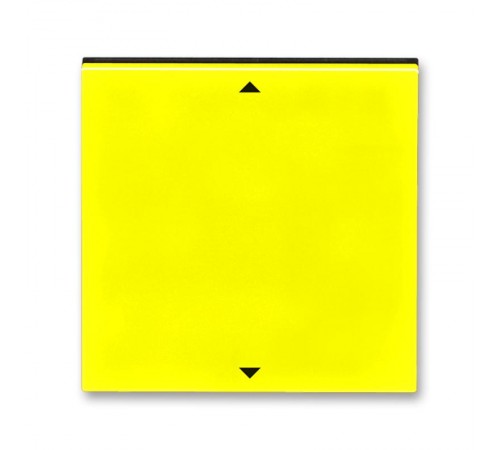 Управляющий элемент Busch-Jalousiecontrol®II ABB Levit с маркировкой жёлтый / дымчатый чёрный  2CHH700110A4064  ABB