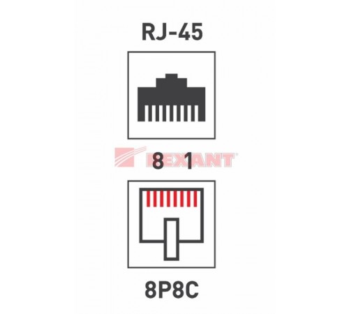 Компьютерный двойник RJ-45(8P-8C) (гнездо - 2 гнезда)  03-0103  REXANT