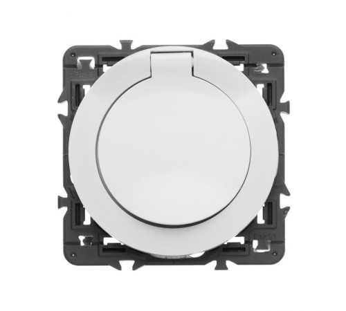 Celiane Мех Розетка с/з с защ. штор., безвинт зажим 2 мод (для накл.68131,68431,66227,64927)  067153  Legrand