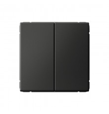 ArtGallery Базальт Выключатель 2-клавишный , 10АХ, механизм, быстрозажим. клем.  GAL001451S  SE