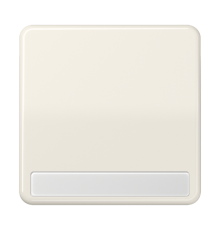 Клавиша для выключателя и кнопки, с полем для надписи; слоновая кость  CD590NA  Jung