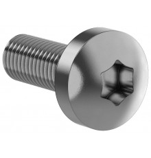 FORMAT Винт М6х16 TORX30 DIN7500C (20шт/упак)  FO-00D-VTORX-M6X16-020  IEK