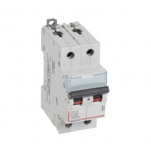 Выключатель автоматический двухполюсный DX3-E 6000 32А C 6кА  407280  Legrand