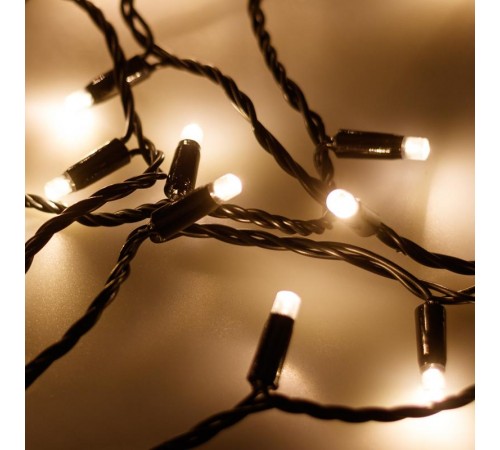 Светодиодная гирлянда ARD-STRING-PRO-10000-GREEN-100LED-FLASH WARM (230V, 7W)  025855  Arlight