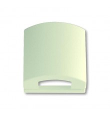 Накладка с кр.50x50AMP,solo/fut.,слоновая кость  1710-0-3149   2CKA001710A3149  ABB