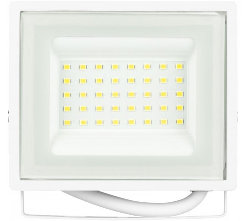 Прожектор светодиодный уличный LPR-023-W-65K-030 30Вт 6500K 2400Лм белый  Б0054641  ЭРА