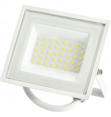 Прожектор светодиодный уличный LPR-023-W-65K-030 30Вт 6500K 2400Лм белый  Б0054641  ЭРА