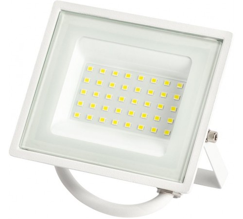 Прожектор светодиодный уличный LPR-023-W-65K-030 30Вт 6500K 2400Лм белый  Б0054641  ЭРА