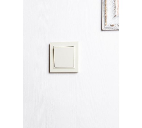 BRITE Выключатель 1-клавишный 10А ВС10-1-0-БрКр бежевый  BR-V10-0-10-K10  IEK