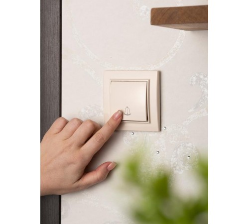 Минск Кнопка звонка  СП, 10А, бежевый EKFERV10-027-20EKF