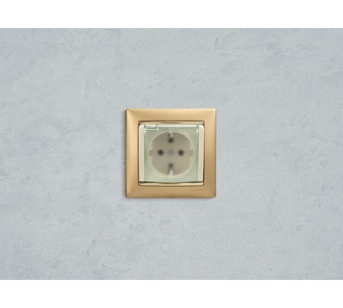 Valena Сл. кость Розетка 1-ая с/з с крышкой и защитными шторками IP44 (к простой рамке)  774120  Legrand