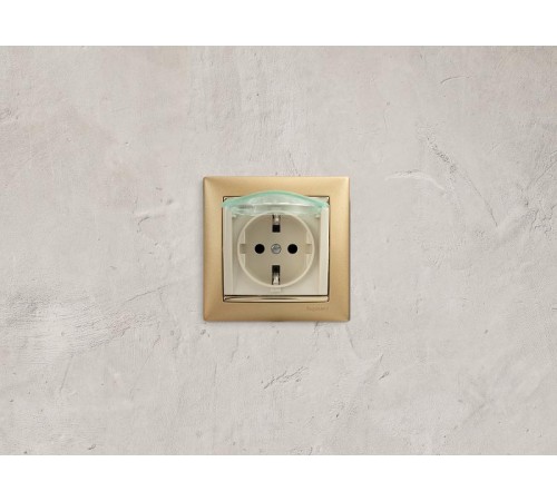 Valena Сл. кость Розетка 1-ая с/з с крышкой и защитными шторками IP44 (к простой рамке)  774120  Legrand