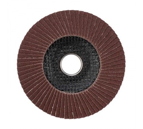 Круг лепестковый торцевой P 100, 125х22,2 мм  KR-90-0016  Kranz