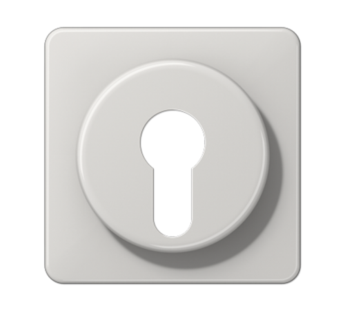 Крышка для выключателя с замком; светло-серая  CD528LG  Jung