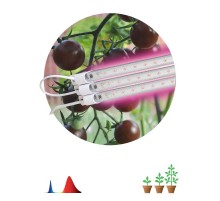 Светильник светодиодный для растений FITO-3х10W-LINE-RB90 (40)  Б0050924  ЭРА