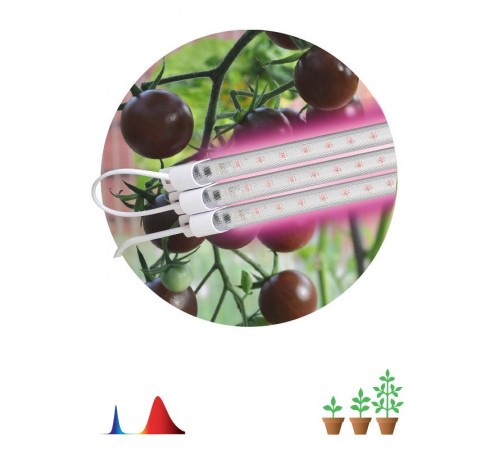 Светильник светодиодный для растений FITO-3х10W-LINE-RB90 (40)  Б0050924  ЭРА