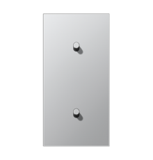 Центральная плата, 2 поста, для вертикальной установки, тумблеры 1+1,цилиндр; металлическое исполнение; алюминий; серия LS  AL12-20R0  Jung