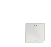 клавиша с символом для 3 и 4-клавишного пульта KNX, светло-серая, для серии CD (верхняя левая; верхняя левая и нижня правая)  CD404TSAPLG14  Jung