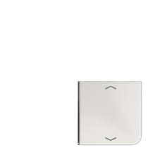 клавиша с символом для 3 и 4-клавишного пульта KNX, светло-серая, для серии CD (верхняя левая; верхняя левая и нижня правая)  CD404TSAPLG14  Jung