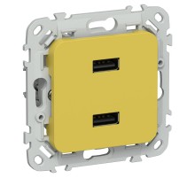 FLITE Розетка USB A+A 2,1А РЮ-2-ФлЖК желтый карри  FI-U21-D31-K44  IEK