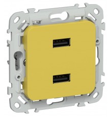 FLITE Розетка USB A+A 2,1А РЮ-2-ФлЖК желтый карри  FI-U21-D31-K44  IEK