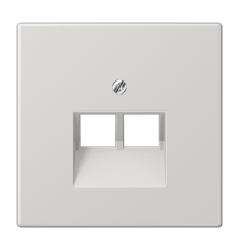 Крышка для двойных телефонных и компьютерных розеток (UAE), фиксация винтом; термопласт; светло-серый; LS990  LS969-2UALG  Jung