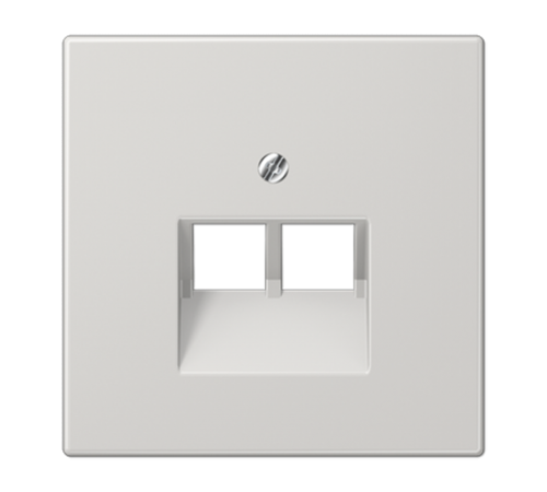 Крышка для двойных телефонных и компьютерных розеток (UAE), фиксация винтом; термопласт; светло-серый; LS990  LS969-2UALG  Jung