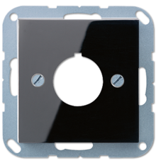 Крышка для установки специальных изделий A564SW Jung