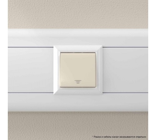 Кнопка "Ванильная дымка", "Avanti", 16A, 2 мод.  4405152  DKC