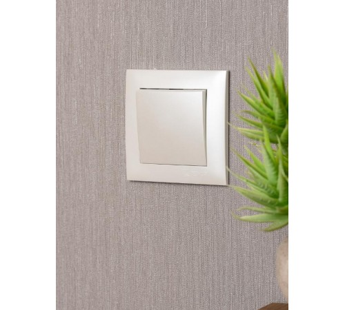 Валенсия Рамка 1-местная кашемир EKF   EWM-G-301-40   EKF