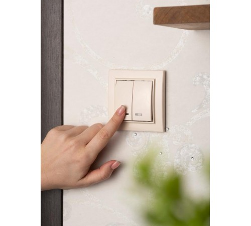 Выключатель 2-кл. СП, Минск, с индикатором 10А, бежевый EKFERV10-123-20EKF