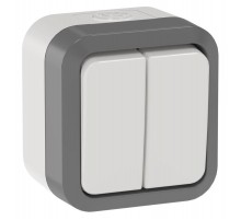 TORS Выключ. двухкл. прох. 10А IP55 TS225 сер-бел  TS-V22-0-10-55-K41  IEK