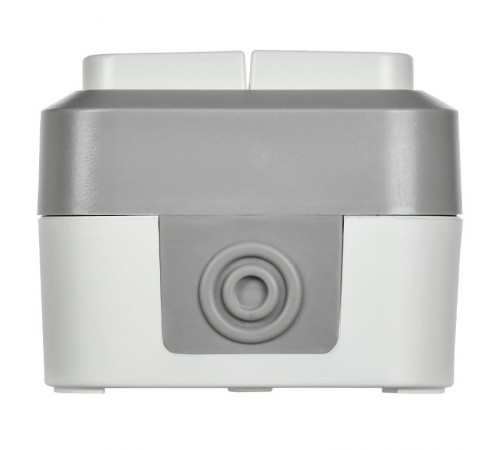 TORS Выключ. двухкл. прох. 10А IP55 TS225 сер-бел  TS-V22-0-10-55-K41  IEK