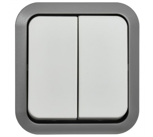 TORS Выключ. двухкл. прох. 10А IP55 TS225 сер-бел  TS-V22-0-10-55-K41  IEK