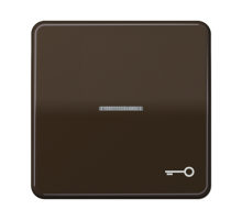 Клавиша с окошком и символом "ключ" для выключателей с подсветкой; коричневая  CD590KO5TBR  Jung