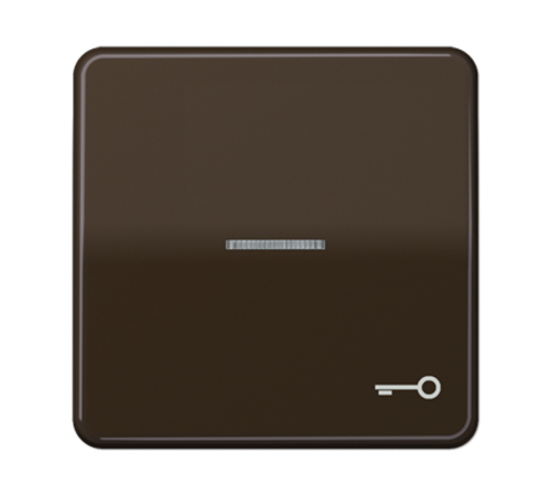 Клавиша с окошком и символом "ключ" для выключателей с подсветкой; коричневая  CD590KO5TBR  Jung