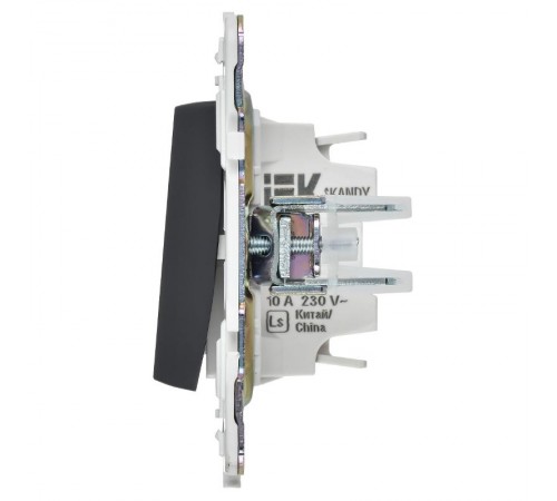 SKANDY Выключатель 2-клавишный 10А SK-V04T титан  SK-V20-0-10-K48  IEK