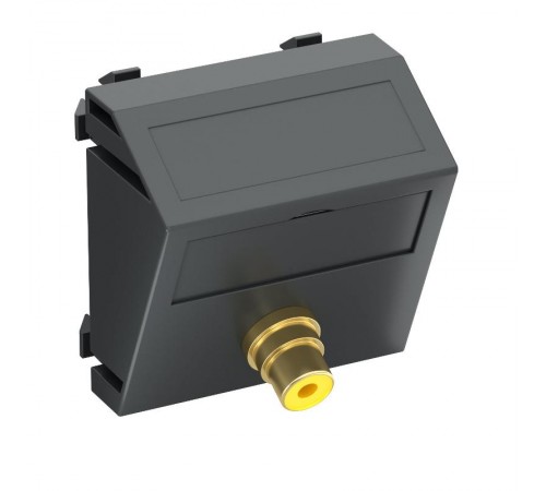 Мультимедийная рамка Video-Cinch Modul45 (черный) (MTS-R F SWGR1)  6105009  OBO Bettermann