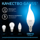 Лампа светодиодная Свеча на ветру 6.5W 550lm 6500K E14 LED 1/10/50  104101307  Gauss