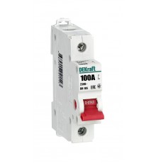 Выключатель-разъединитель 1Р 100А ВН-105  17083DEK  DEKraft