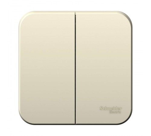 Blanca Молочный О/У Выключатель 2-клавишный, 10А, 250B  BLNVA105002  SE