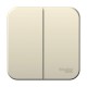 Blanca Молочный О/У Выключатель 2-клавишный, 10А, 250B  BLNVA105002  SE
