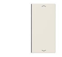 Клавиша для сенсорного модуля KNX, двойная, бежевая  LS402TSAP  Jung