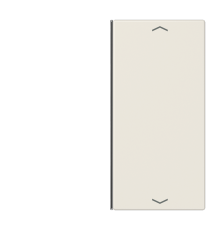 Клавиша для сенсорного модуля KNX, двойная, бежевая  LS402TSAP  Jung