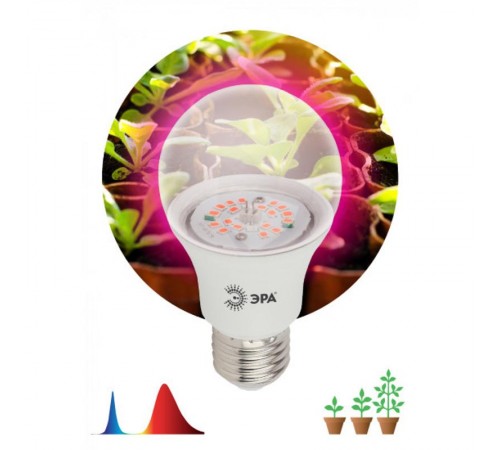 Лампа светодиодная фито для растений 12Вт E27 красно-синий спектр FITO-12W-RB-E27-K  Б0039070  ЭРА