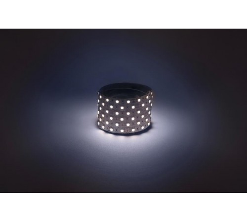 Комплект светодиодной ленты 5050kit-14,4-60-12-IP20-6500-5m  Б0043065  ЭРА